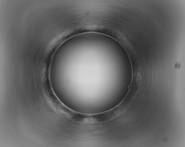 X0000113120591200908281440