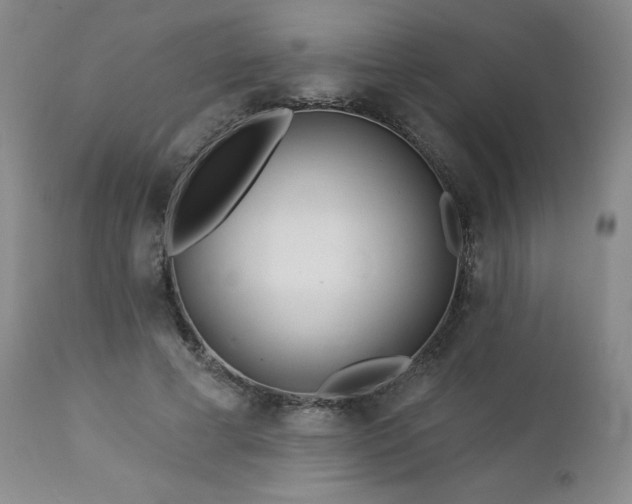 X0000113120593200908281440