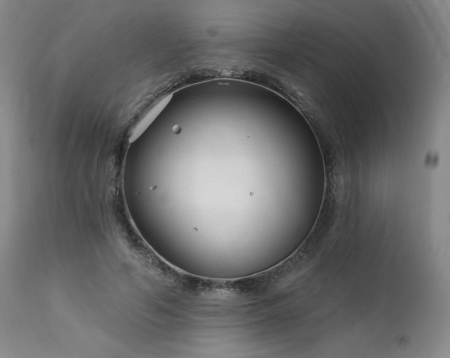 X0000113120594200908281440