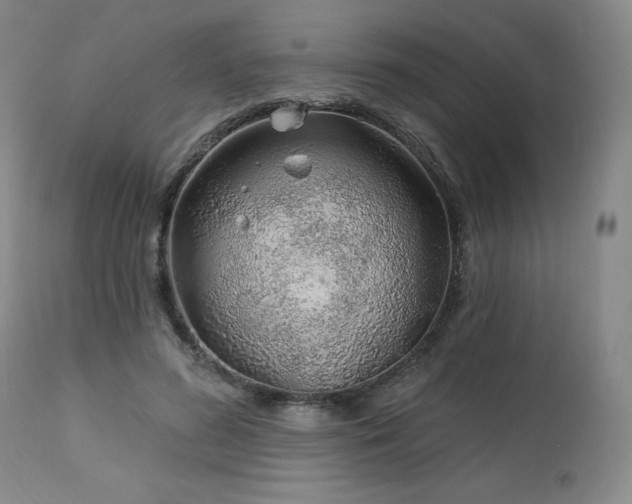 X0000113120596200908281440