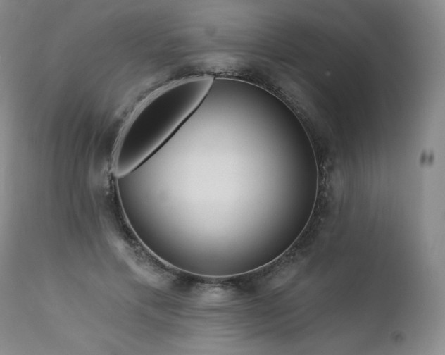 X0000113120597200908281440