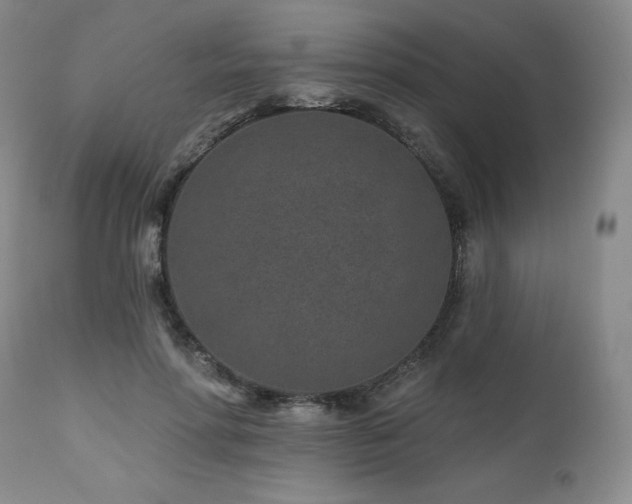 X0000113120598200908281440