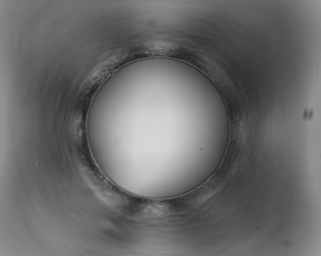 X0000113120599200908281440