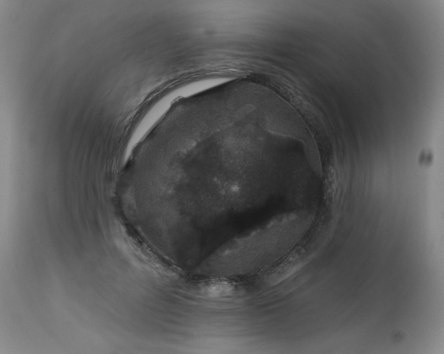 X0000113120600200908281440