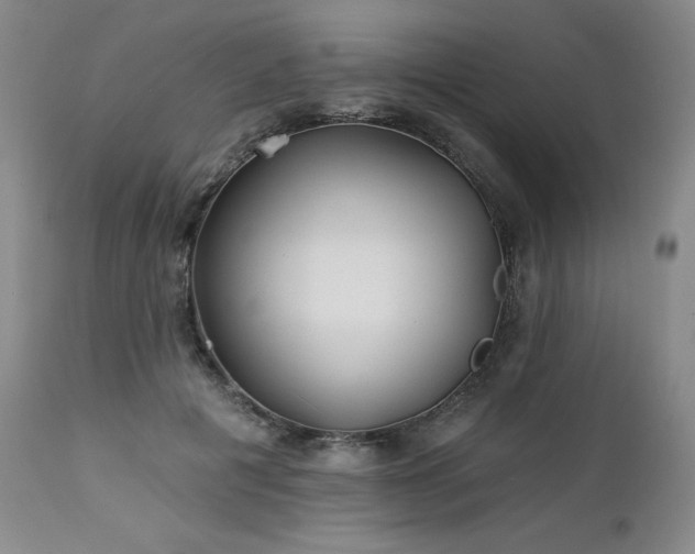 X0000113120601200908281440