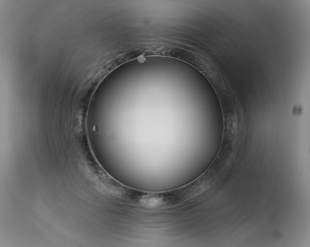 X0000113120602200908281440