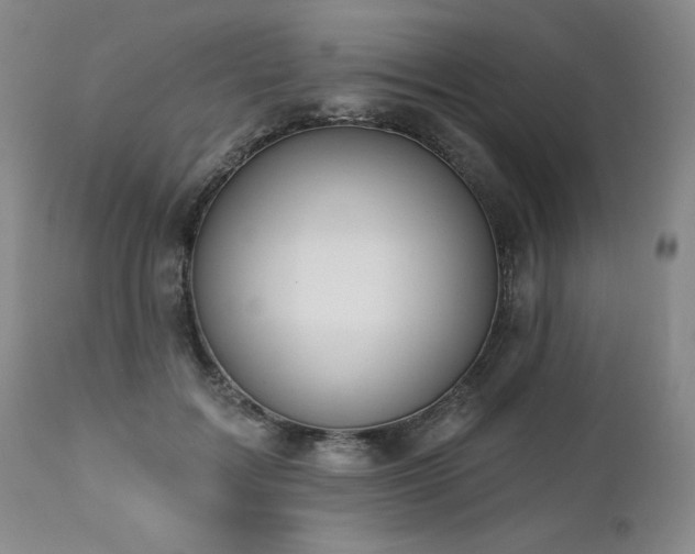 X0000113120603200908281440