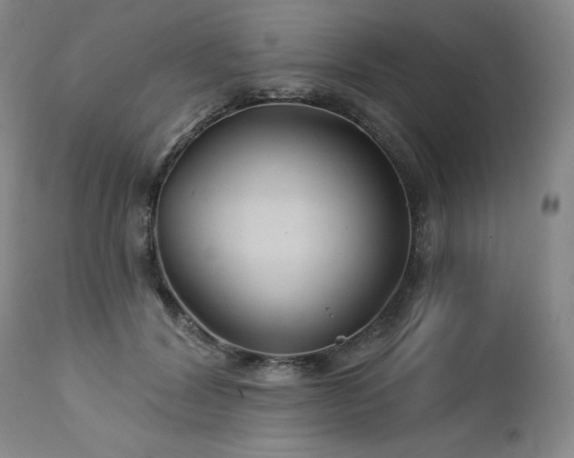 X0000113120604200908281440