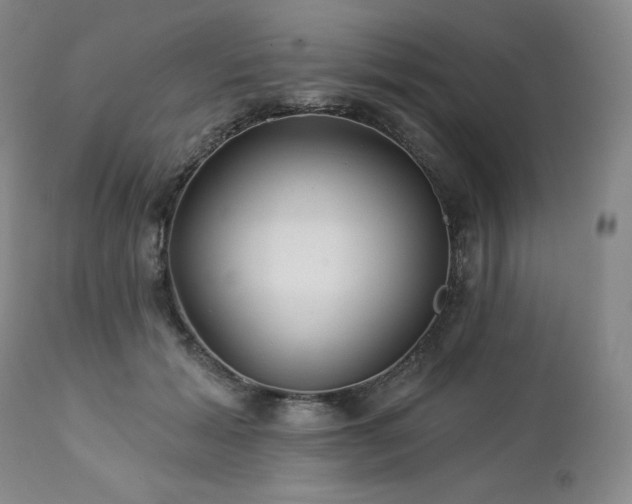 X0000113120605200908281440