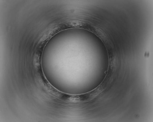 X0000113120606200908281440