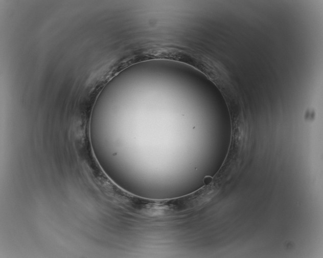 X0000113120607200908281440