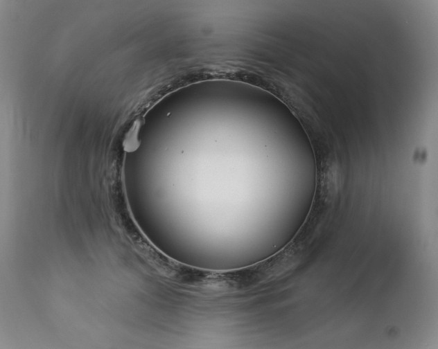 X0000113120608200908281439