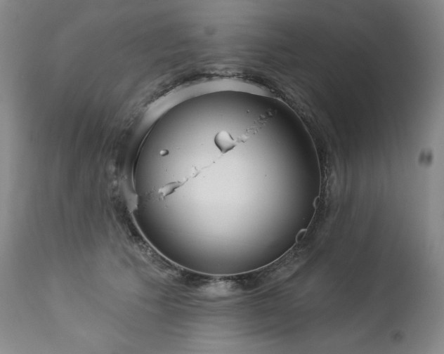 X0000113120609200908281439