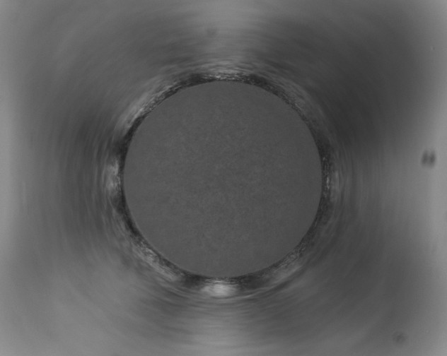 X0000113120610200908281439