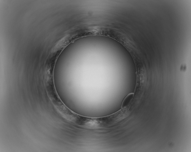 X0000113120611200908281439