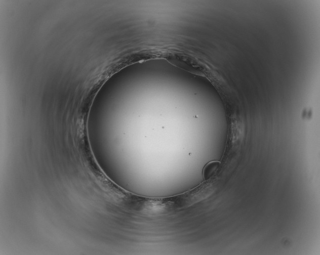 X0000113120613200908281439