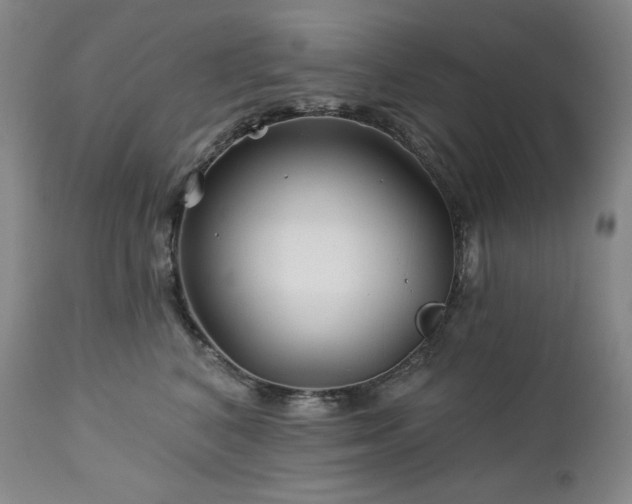 X0000113120616200908281439