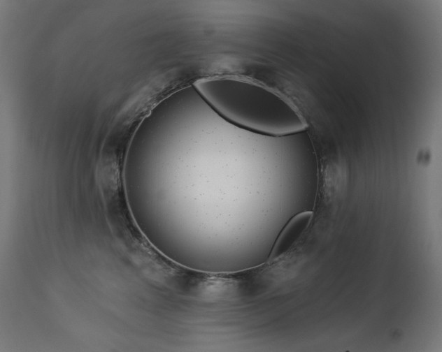 X0000113120617200908281439