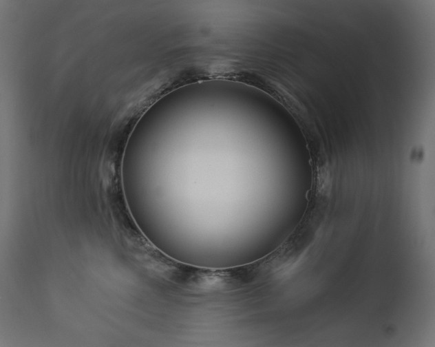 X0000113120618200908281439