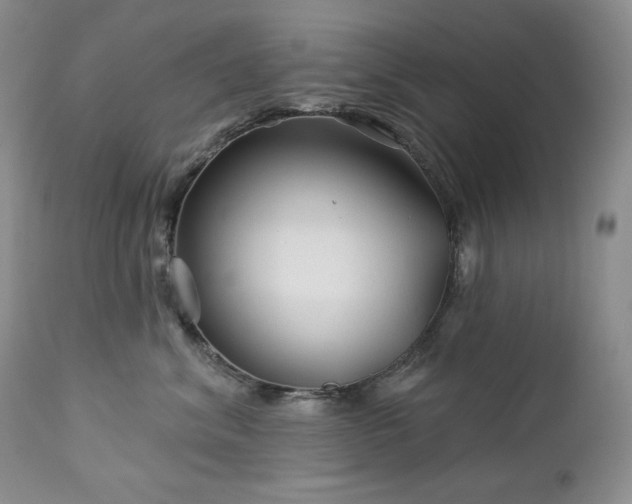 X0000113120620200908281439