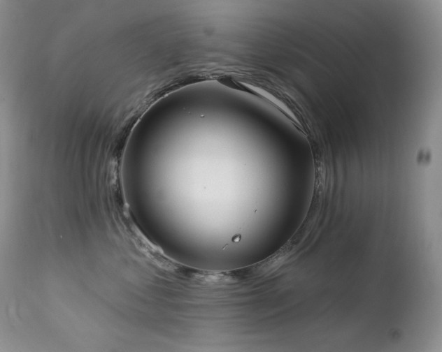 X0000113120621200908281439