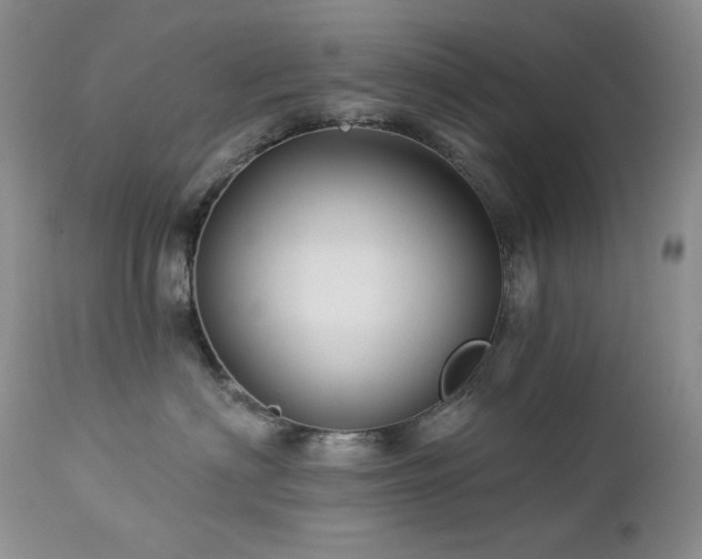 X0000113120622200908281439