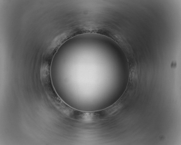 X0000113120623200908281439