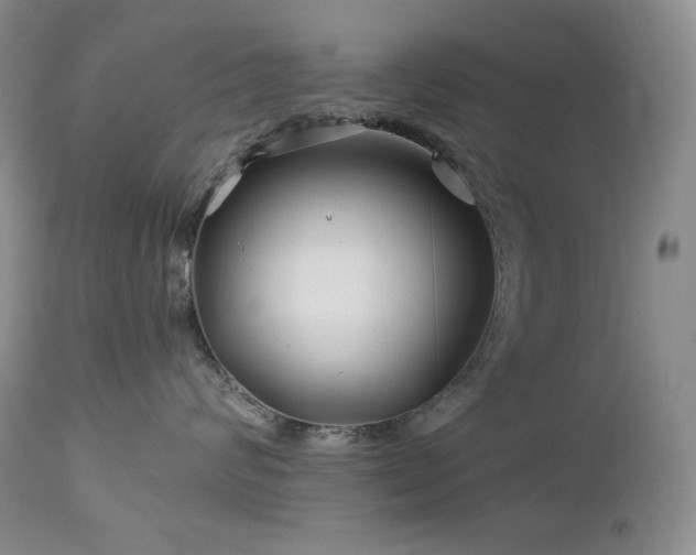 X0000113120624200908281439