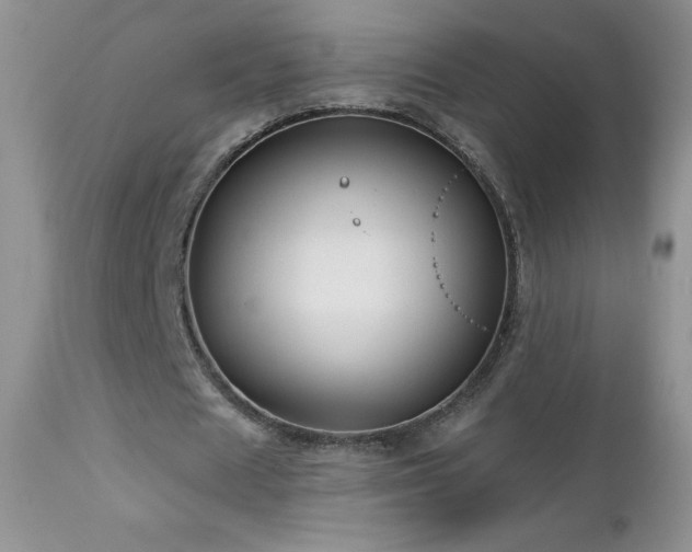 X0000113120625200908281438