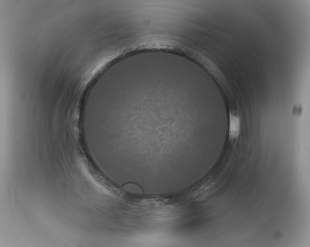 X0000113120627200908281438