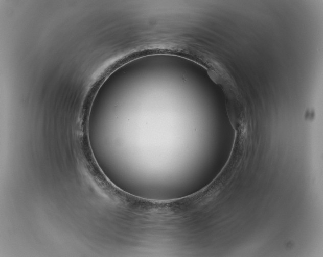 X0000113120628200908281438