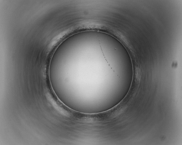 X0000113120629200908281438