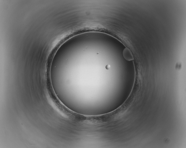 X0000113120630200908281438