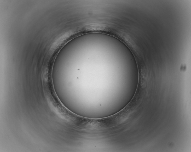 X0000113120631200908281438