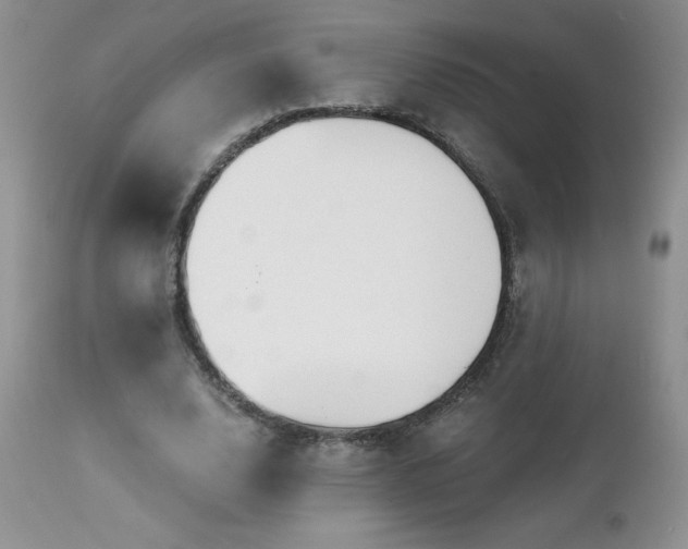 X0000113120632200908281438