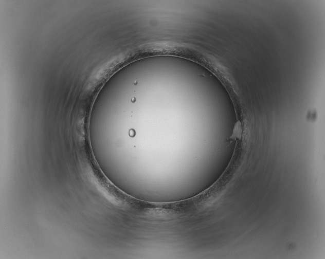 X0000113120633200908281439