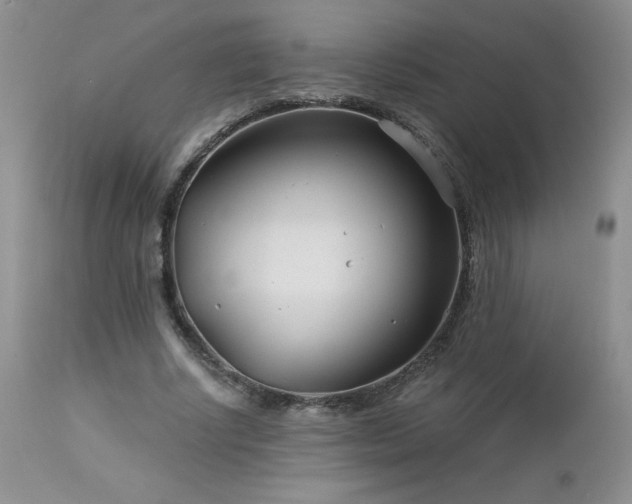 X0000113120634200908281439