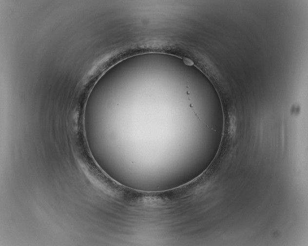 X0000113120636200908281439