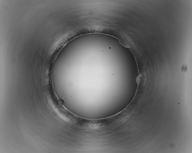 X0000113120638200908281439