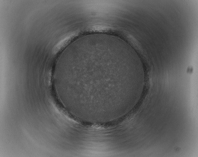 X0000113120640200908281439