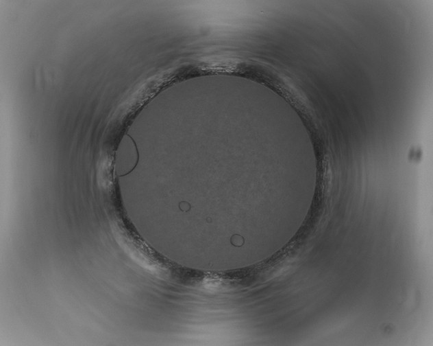 X0000113120641200908281439