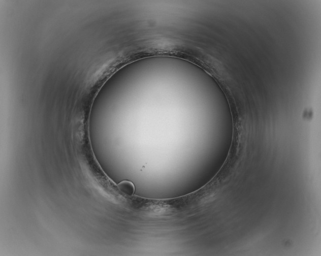 X0000113120642200908281439