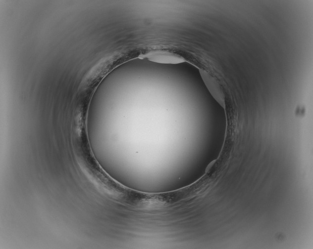 X0000113120644200908281439