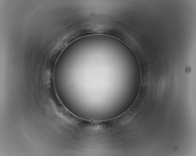 X0000113120646200908281439