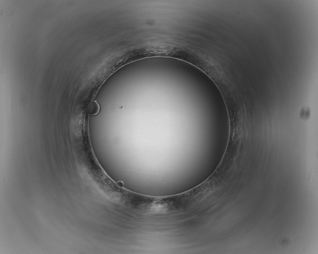 X0000113120647200908281439