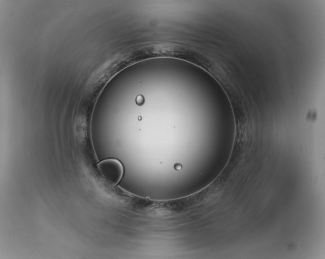 X0000113120648200908281439