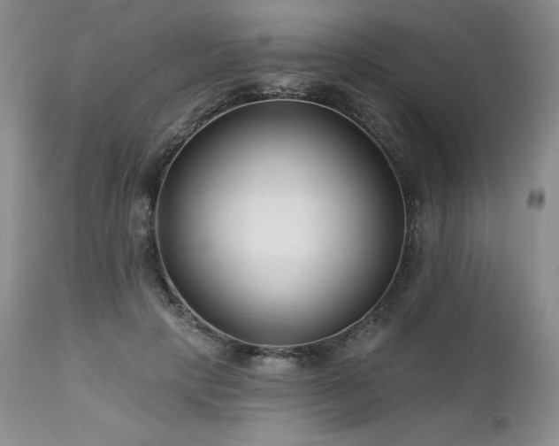 X0000113120649200908281439