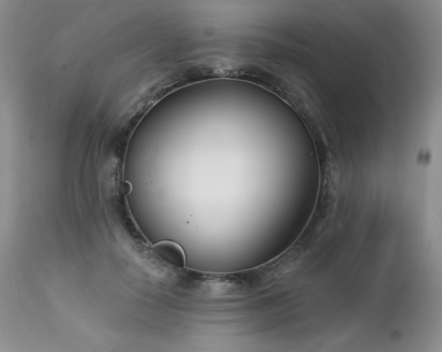 X0000113120650200908281439