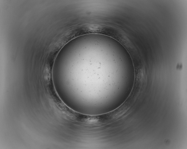 X0000113120651200908281439