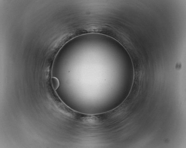 X0000113120652200908281439